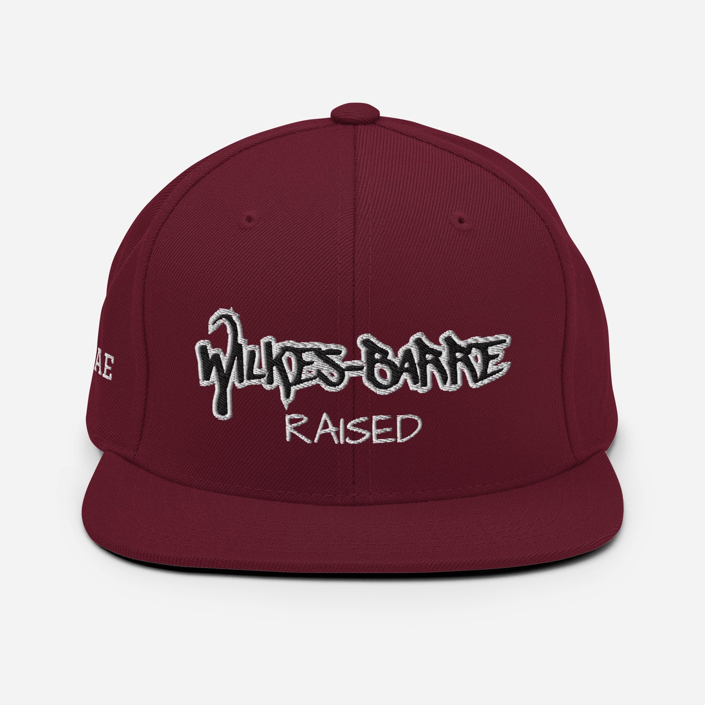 Nepa WB Raised Snapback Hat