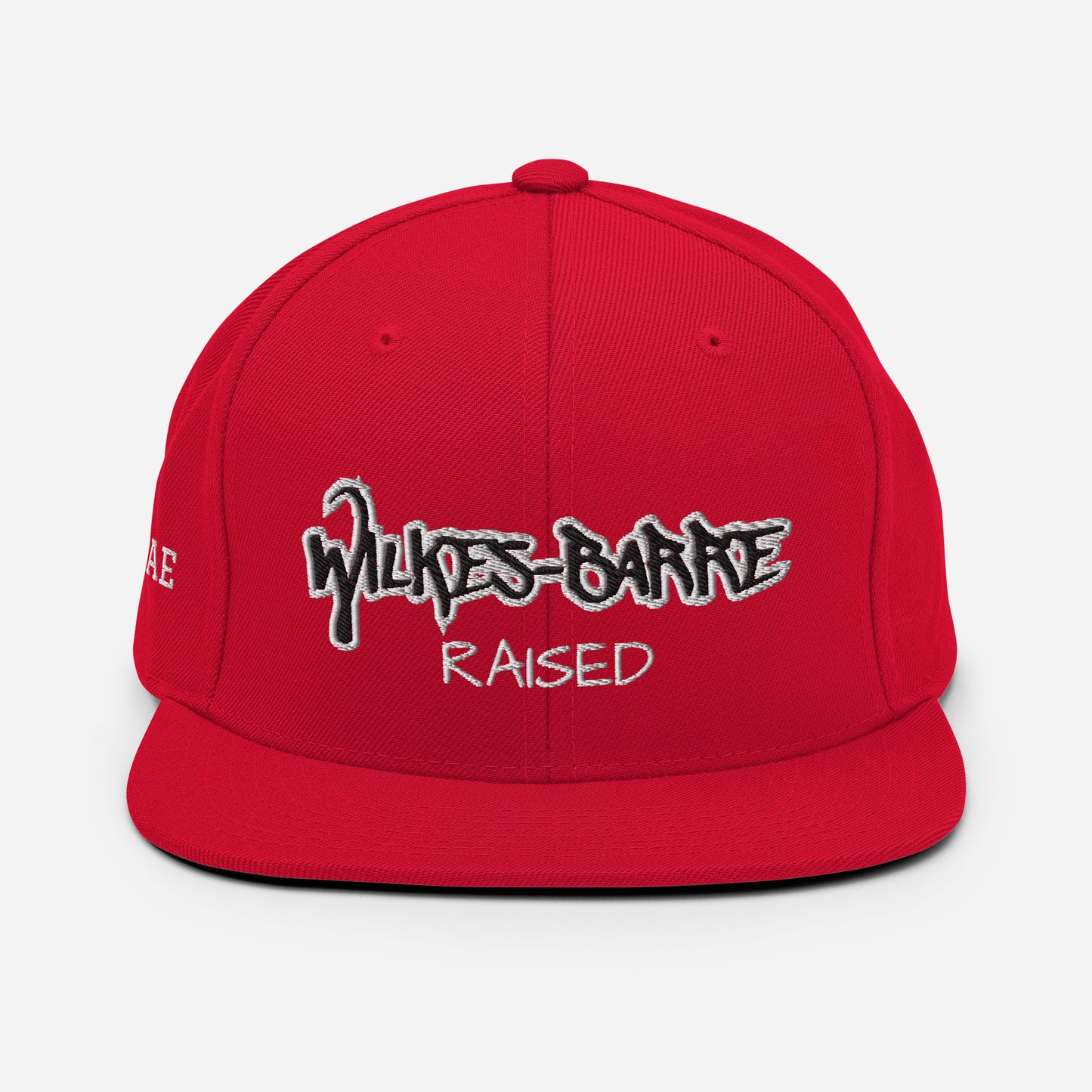 Nepa WB Raised Snapback Hat