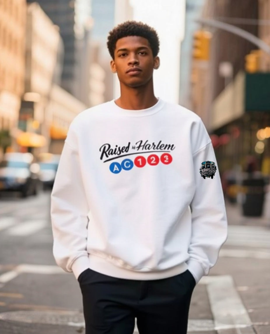 Harlem Raised Train Line Sweatshirt