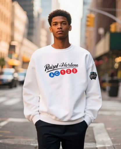 Harlem Raised Train Line Sweatshirt