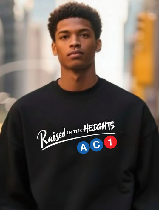 Heights Raised Train Line Sweatshirt
