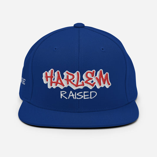 Harlem Raised Snapback Hat